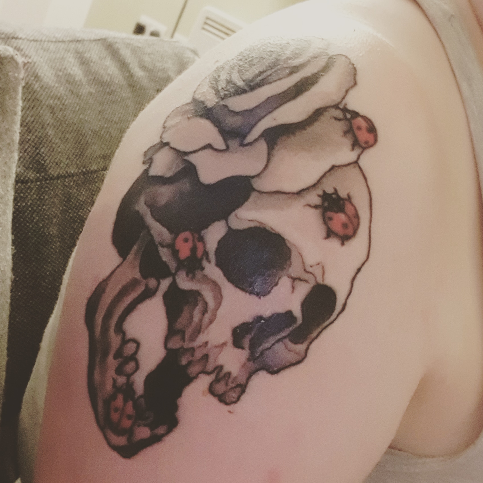 The black & white skull & rose, with 5 red ladybirds crawling over it, on my right shoulder.